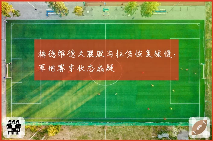 梅德维德夫腹股沟拉伤恢复缓慢，草地赛季状态成疑