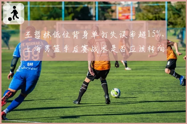 王哲林低位背身单打失误率超15%,上海男篮季后赛战术是否应该转向?