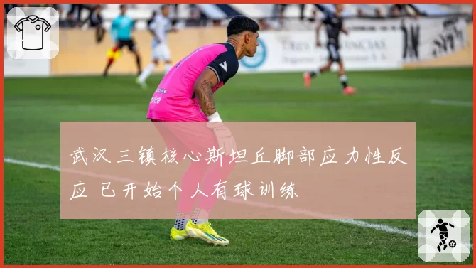 武汉三镇核心斯坦丘脚部应力性反应 已开始个人有球训练