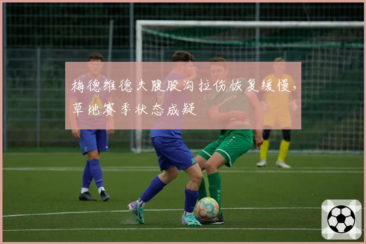 梅德维德夫腹股沟拉伤恢复缓慢，草地赛季状态成疑