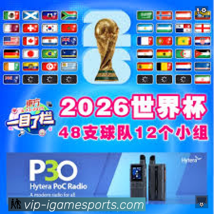 安全使用与支持流程